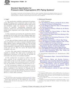 ASTM F2389-24 pdf