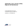 API RP 9B pdf