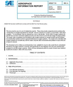 SAE AIR825/10A pdf