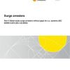 AS 60099.4:2022 pdf