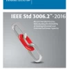 IEEE 3006.2-2016 pdf