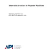 API TR 1189:2025 pdf