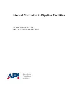 API TR 1189:2025 pdf