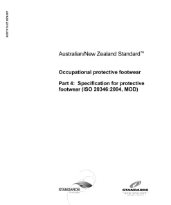 AS/NZS 2210.4:2009 pdf