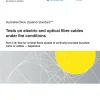 AS/NZS IEC 60332.3.10:2021 pdf