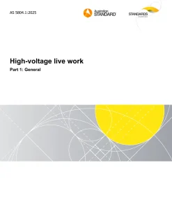AS 5804.1:2025 pdf
