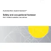 AS/NZS 2210.1:2025 pdf