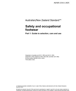 AS/NZS 2210.1:2025 pdf