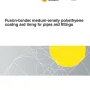 AS 4321:2025 pdf