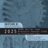 ASME BPVC.XI.2-2025 pdf