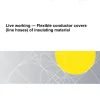 AS IEC 61479:2026 pdf