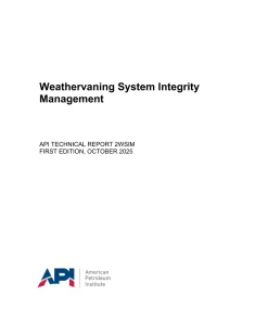 API TR 2WSIM:2025 pdf