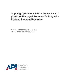 API RP 79-2:2025 pdf