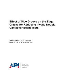 API TR 5DCB:2025 pdf